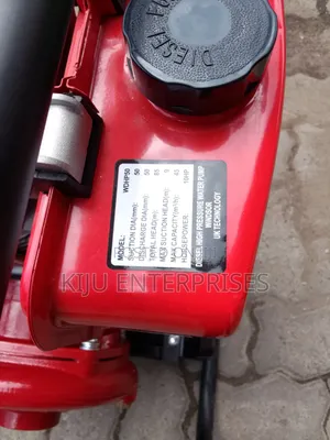 Water Pump 10 Hp Windsor