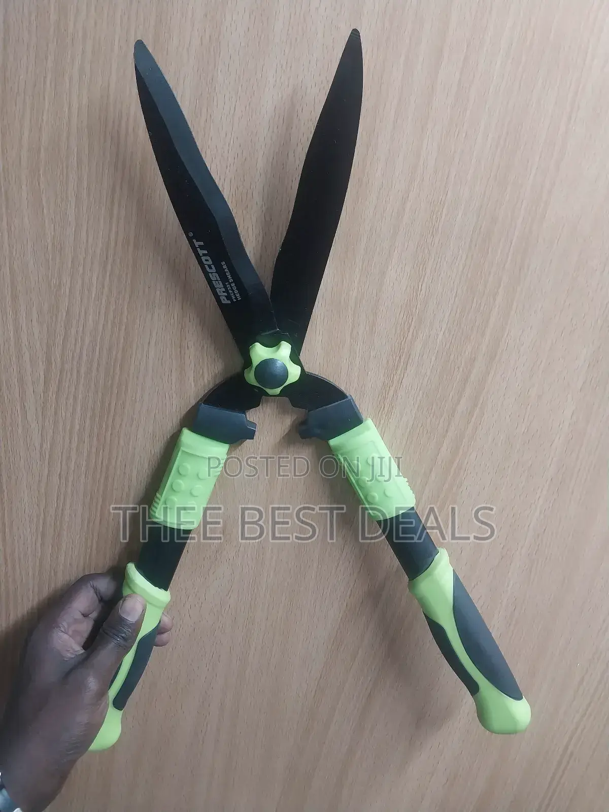 Pruning Sheers
