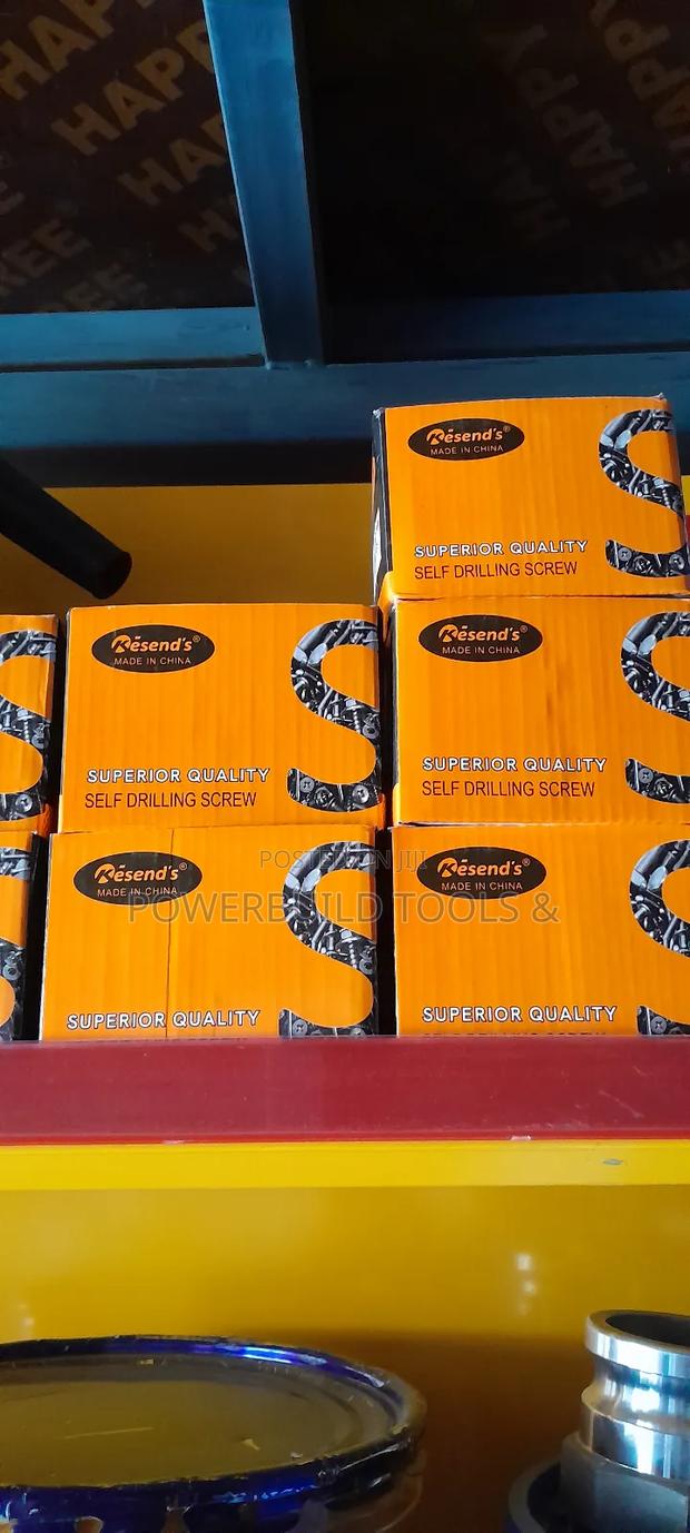 Self Drilling Screw for Polycarbonate - main view