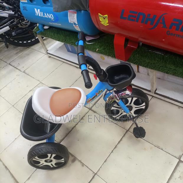 Quality 3 Wheel Tri Circle Bike - main view