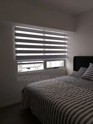 Style and Privacy With Horizontal Zebra Blinds