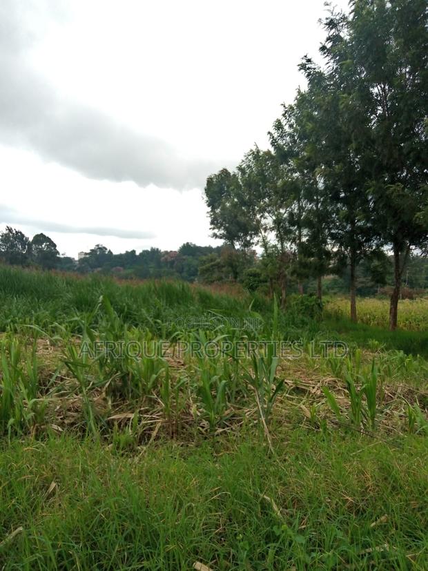 4 Acres in Kikuyu for Sale - thumbnail 5