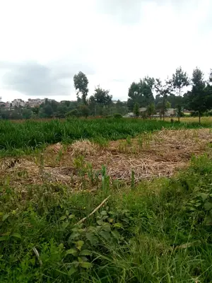 4 Acres in Kikuyu for Sale