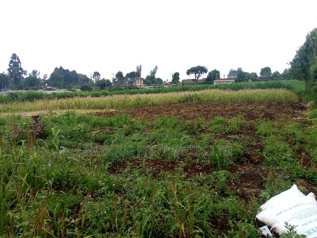 4 Acres in Kikuyu for Sale - thumbnail 8