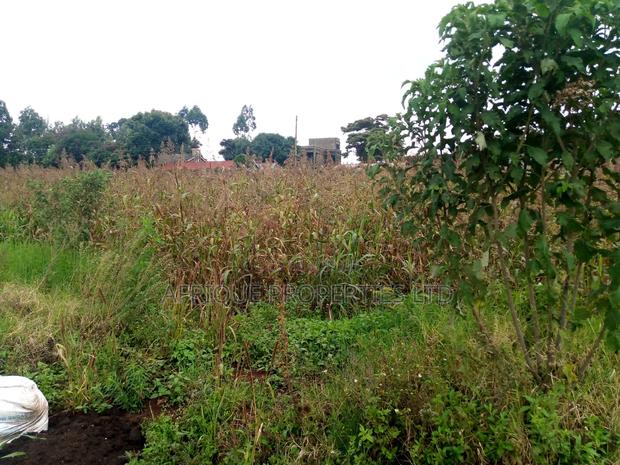 4 Acres in Kikuyu for Sale - thumbnail 9