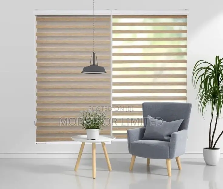 Add Sophistication to Your Room With Horizontal Zebra Blinds
