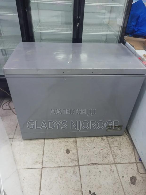 Perfect Freezer Silver in Colour 400l