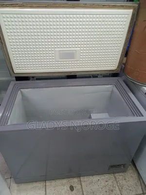 Perfect Freezer Silver in Colour 400l