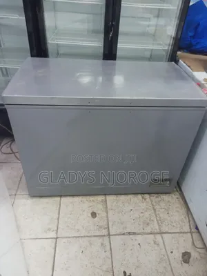 Perfect Freezer Silver in Colour 400l