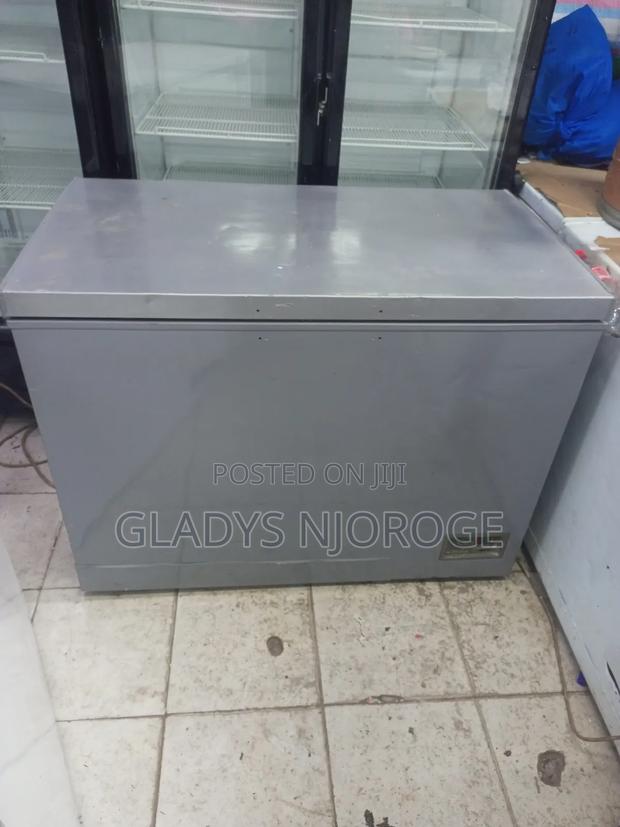 Perfect Freezer Silver in Colour 400l - thumbnail 4