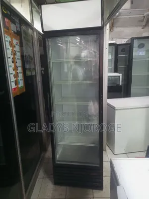 Flexible Fridge 600l