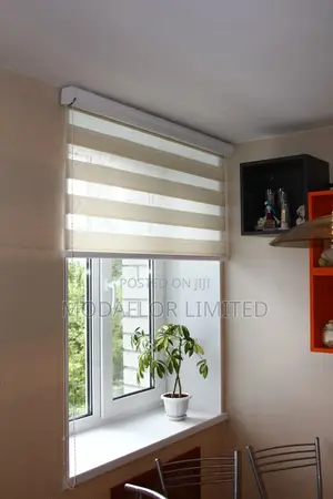 Classic Horizontal Zebra Blinds