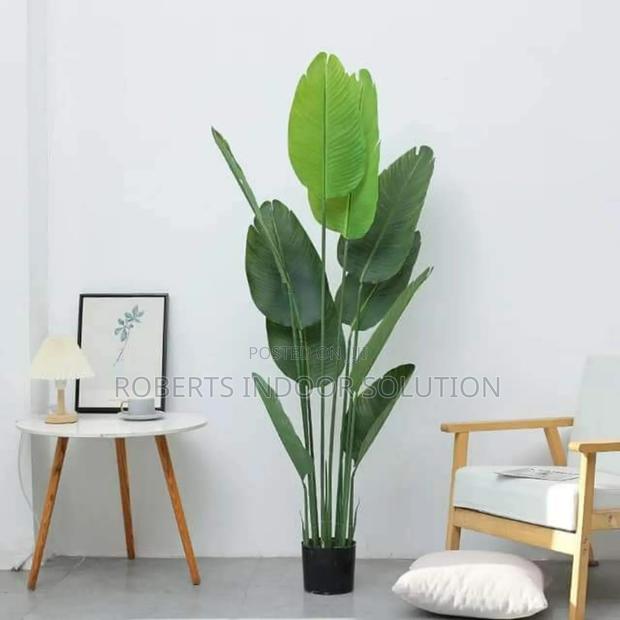 Elevate Your Living Standards With Banana Artificial Tree