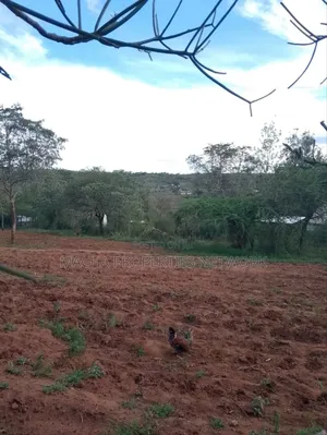 1acre Machakos -Kwamwau -Mikuyu-Red Soil