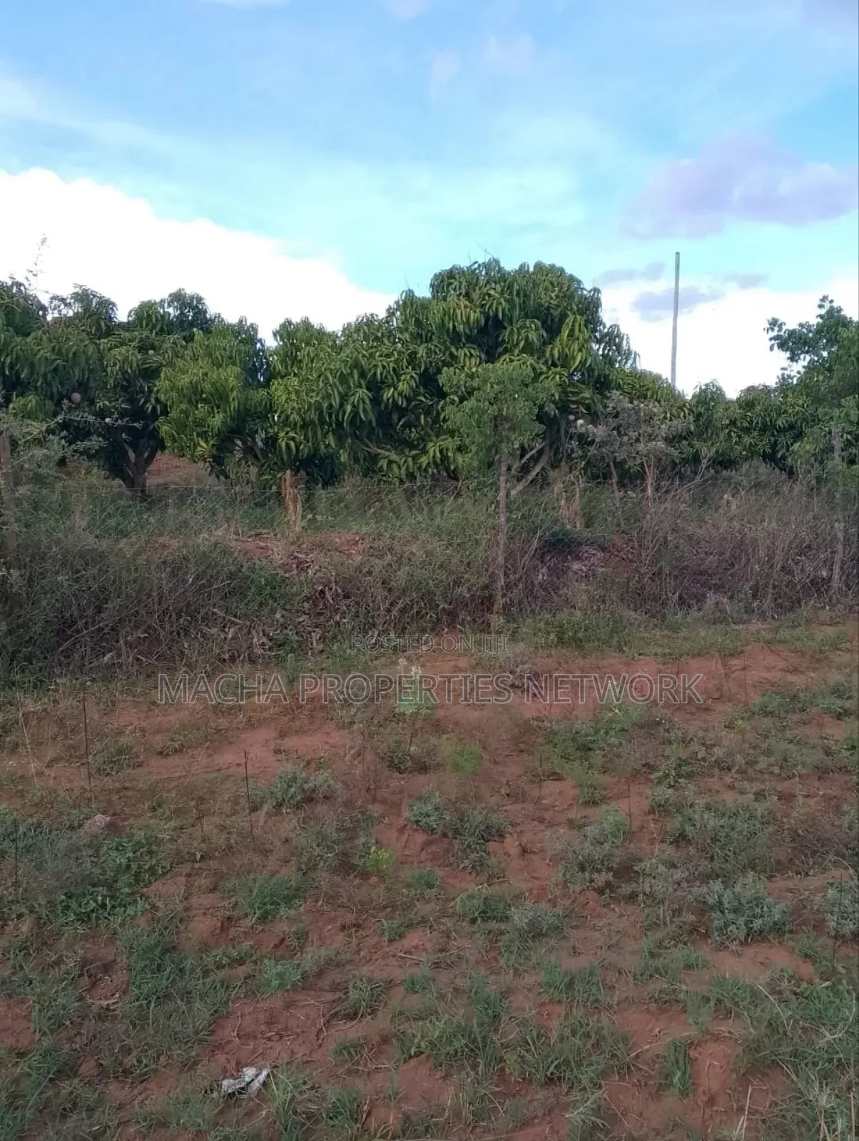 1acre Machakos -Kwamwau -Mikuyu-Red Soil
