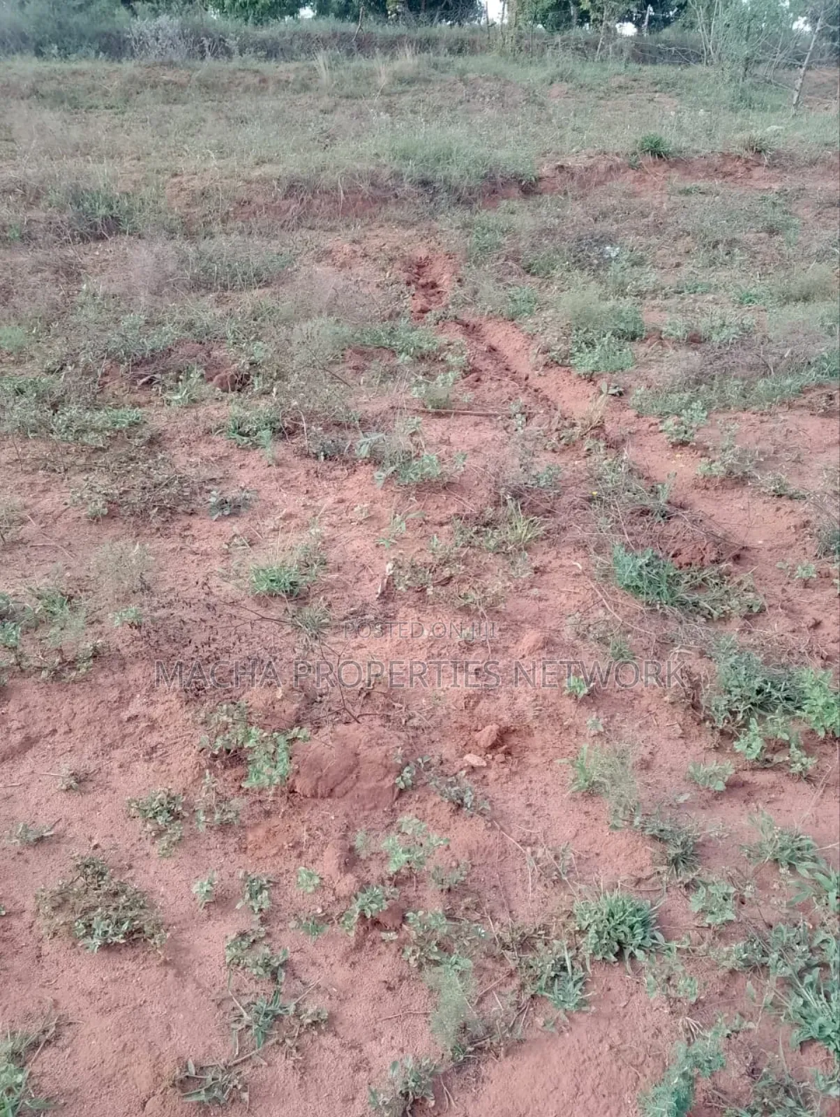 1acre Machakos -Kwamwau -Mikuyu-Red Soil