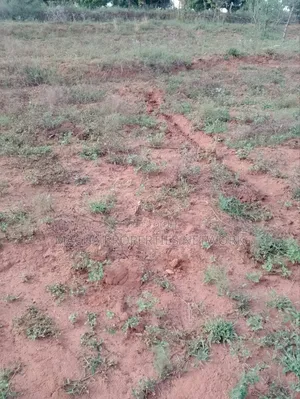 1acre Machakos -Kwamwau -Mikuyu-Red Soil