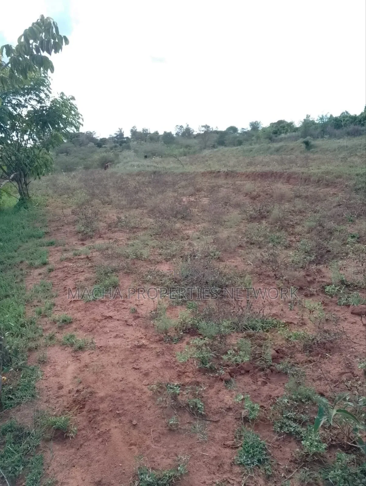 1acre Machakos -Kwamwau -Mikuyu-Red Soil