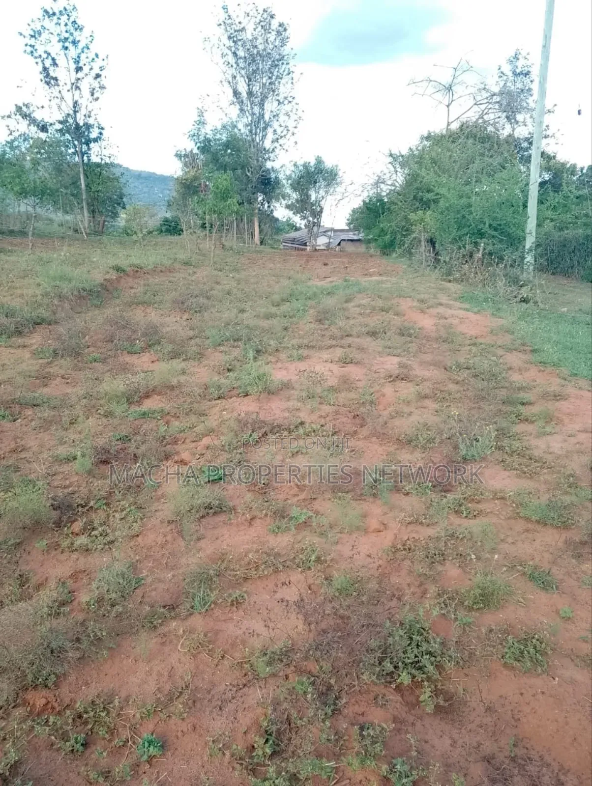 1acre Machakos -Kwamwau -Mikuyu-Red Soil