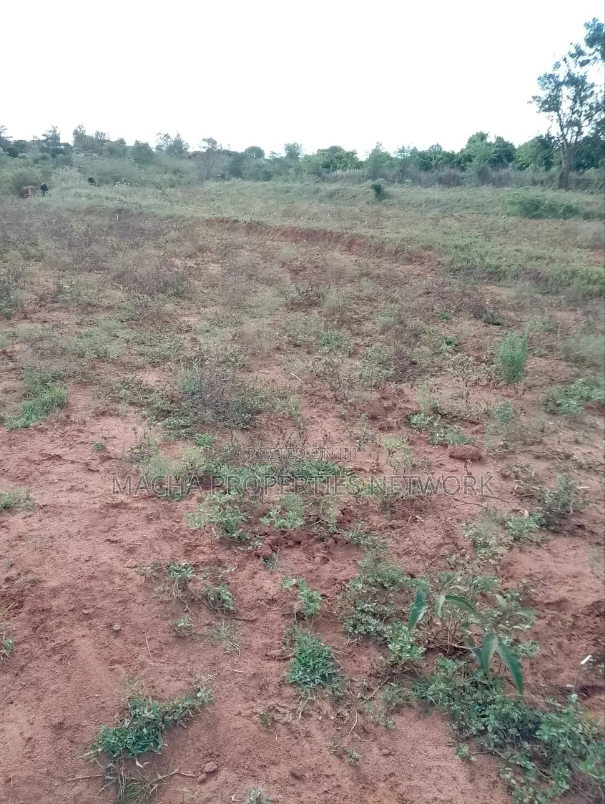 1acre Machakos -Kwamwau -Mikuyu-Red Soil