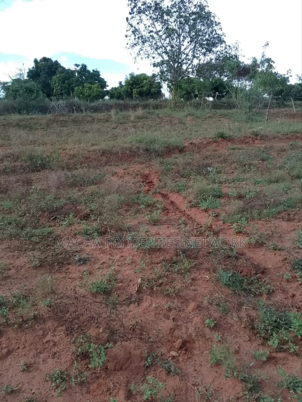 1acre Machakos -Kwamwau -Mikuyu-Red Soil