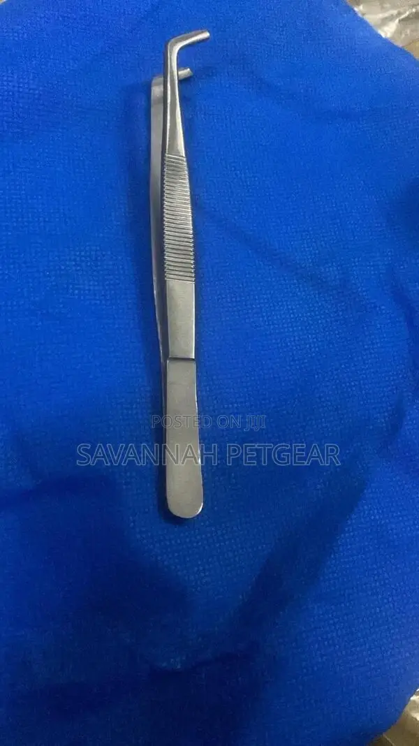 Multi Purpose Tweezers With Precision Stainless Steel Tongs