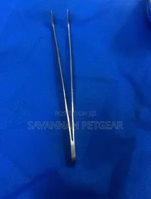 Multi Purpose Tweezers With Precision Stainless Steel Tongs