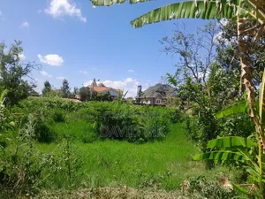 1/4 Plot Kahawa Sukari