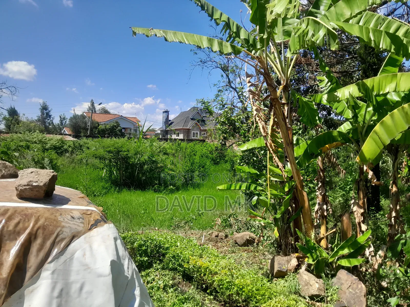 1/4 Plot Kahawa Sukari
