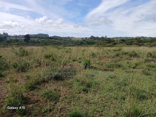 1/4 Acre Plot for Sale in Rongai Masaai Lodge - thumbnail 5