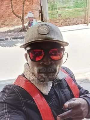 Driver Seeking Job