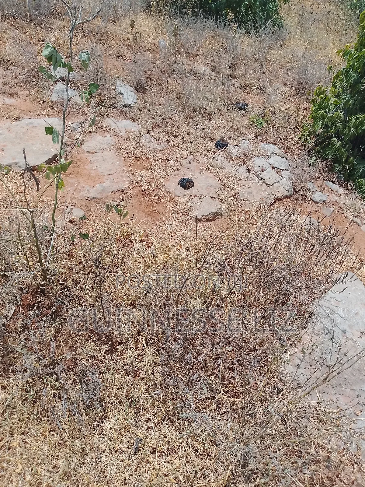Jaribuni Ballast Land for Sale Kilifi County