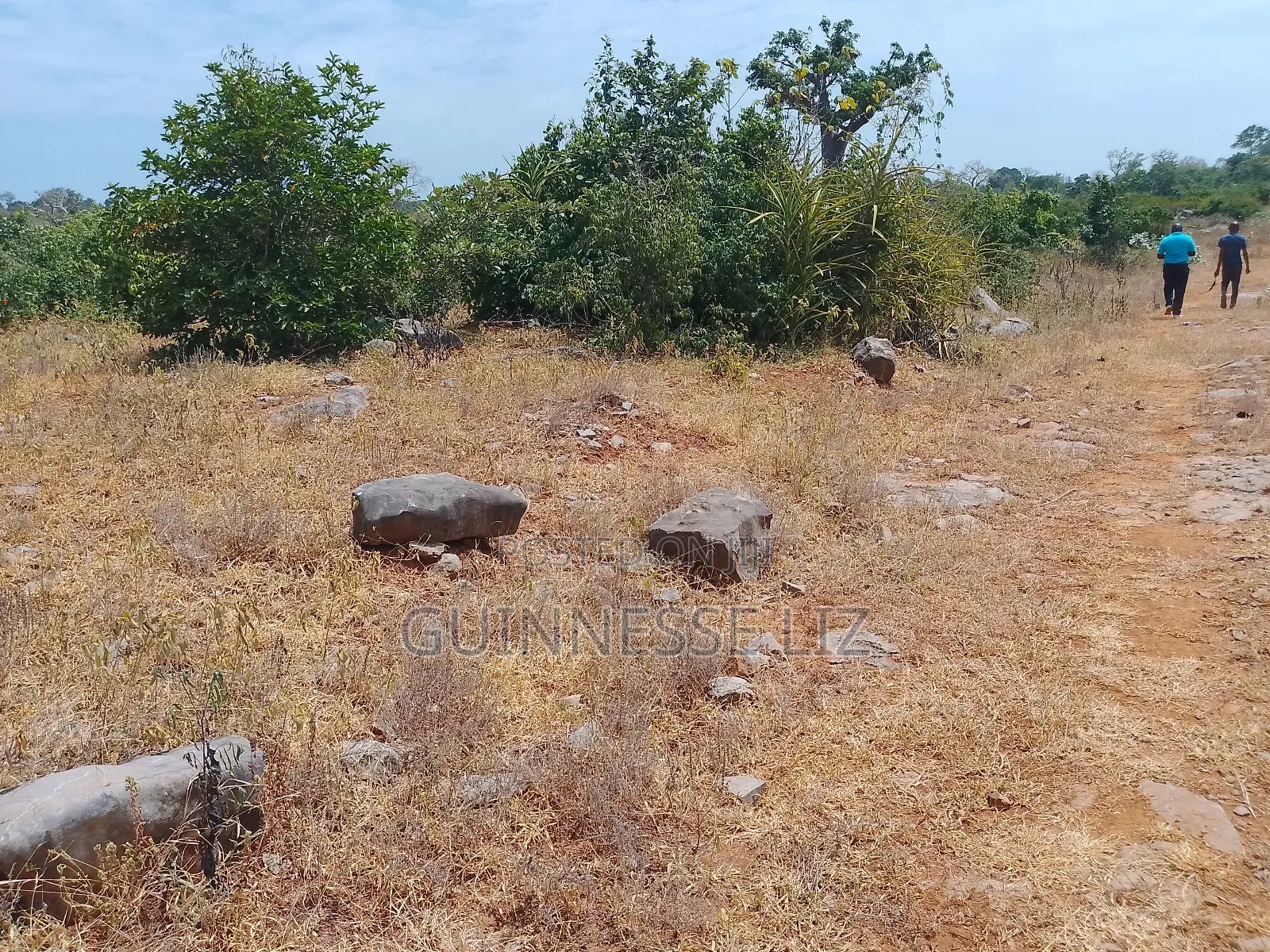 Jaribuni Ballast Land for Sale Kilifi County