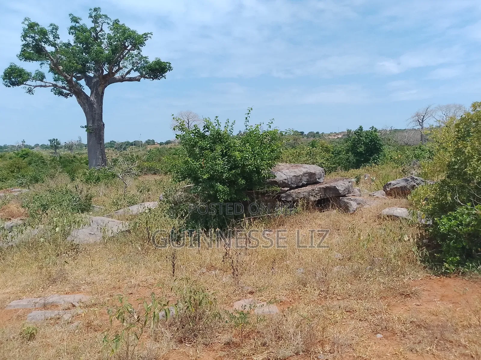 Jaribuni Ballast Land for Sale Kilifi County