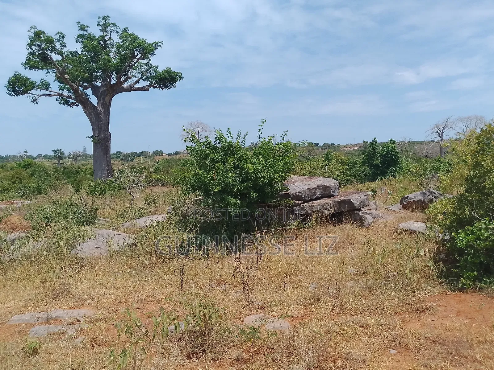 Jaribuni Ballast Land for Sale Kilifi County