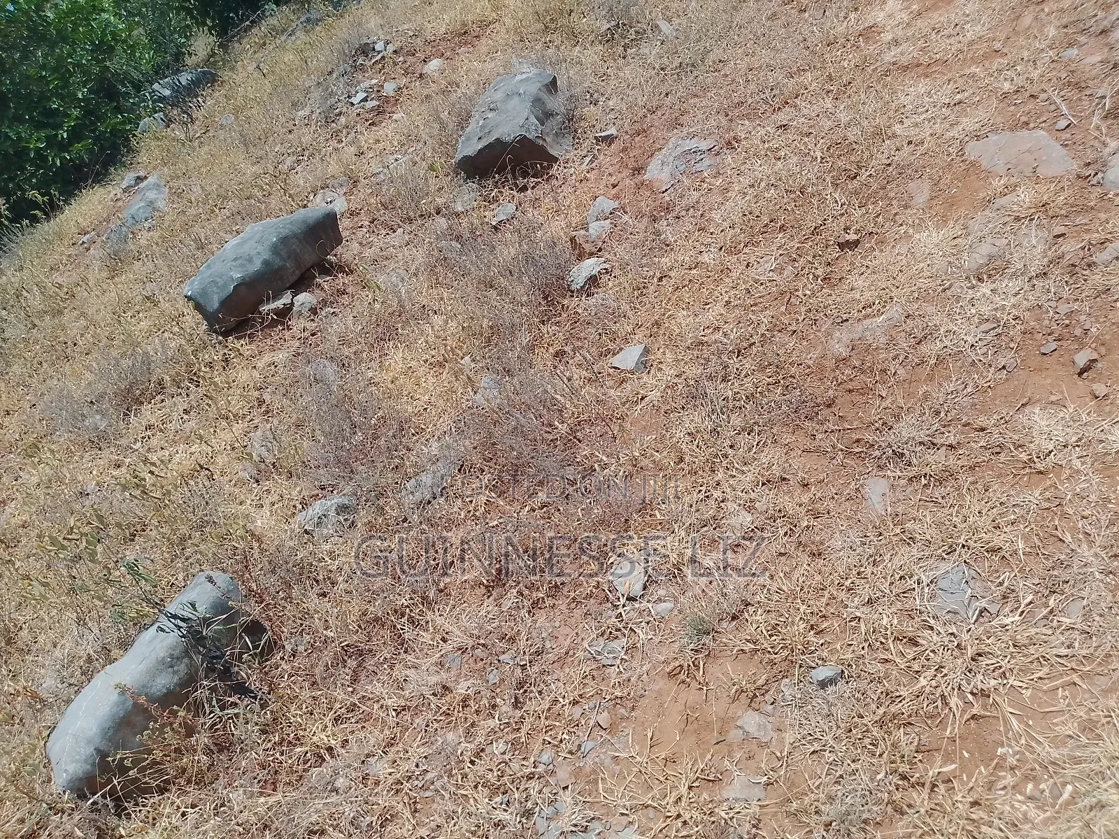 Jaribuni Ballast Land for Sale Kilifi County