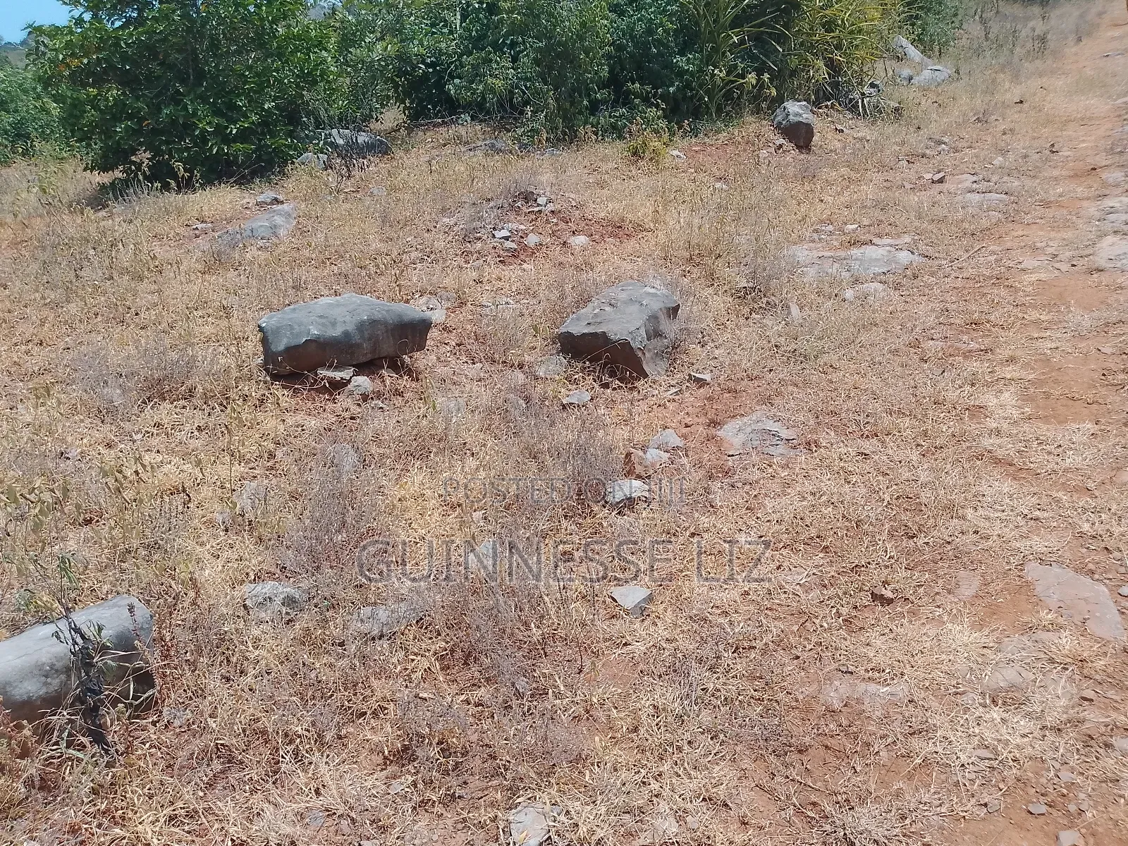 Jaribuni Ballast Land for Sale Kilifi County