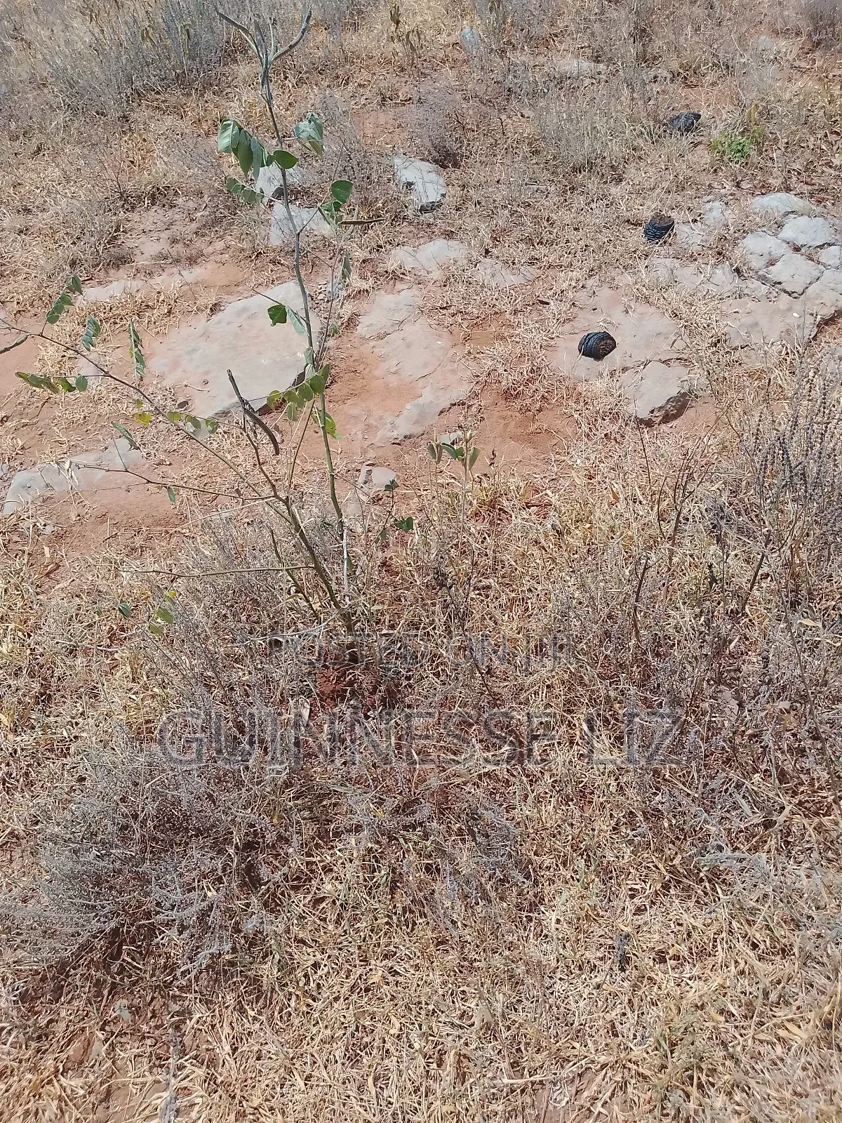 Jaribuni Ballast Land for Sale Kilifi County
