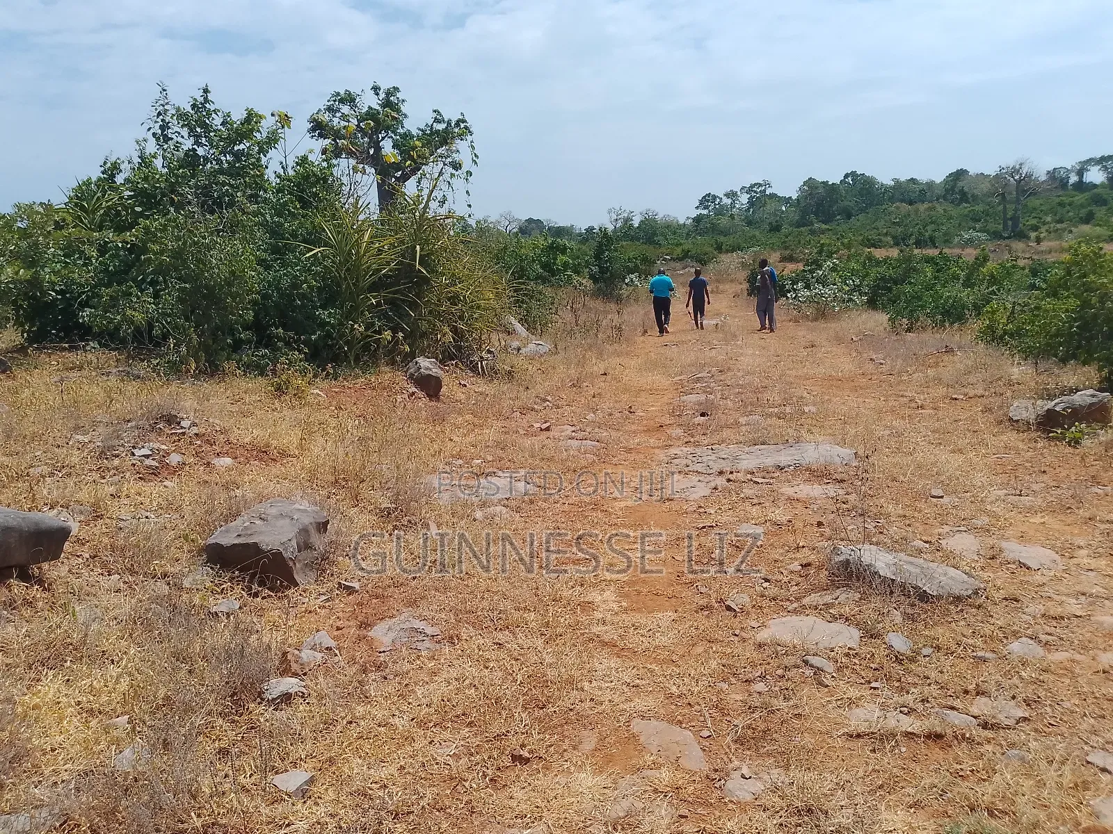 Jaribuni Ballast Land for Sale Kilifi County