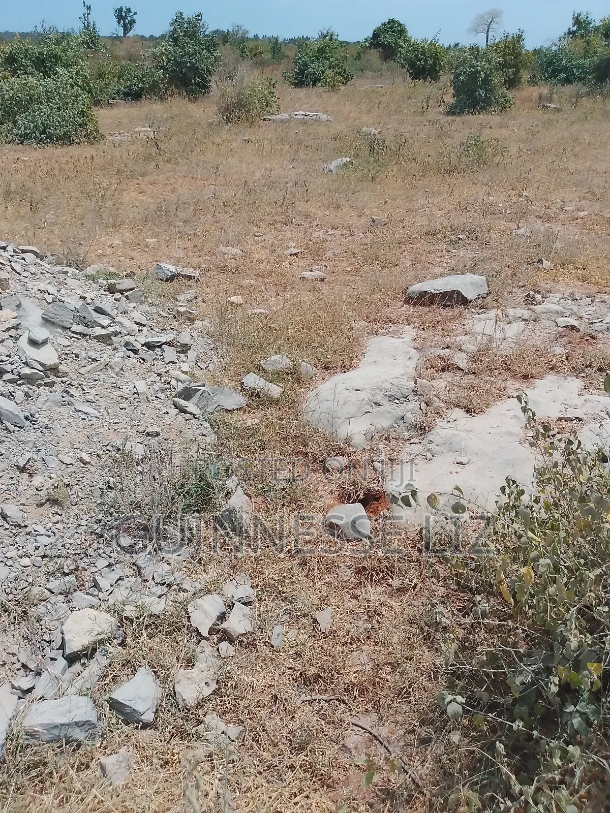 Jaribuni Ballast Land for Sale Kilifi County