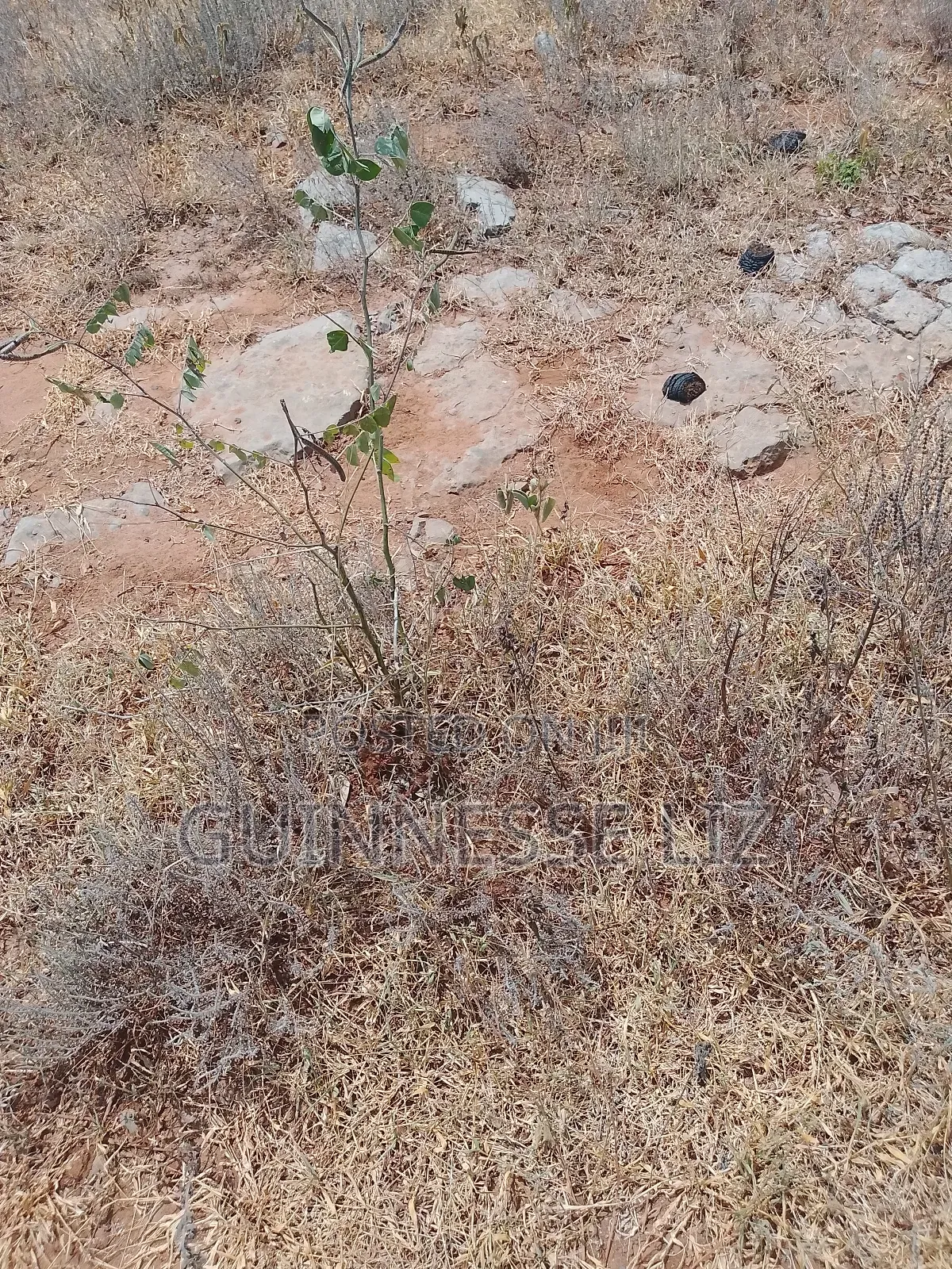 Jaribuni Ballast Land for Sale Kilifi County