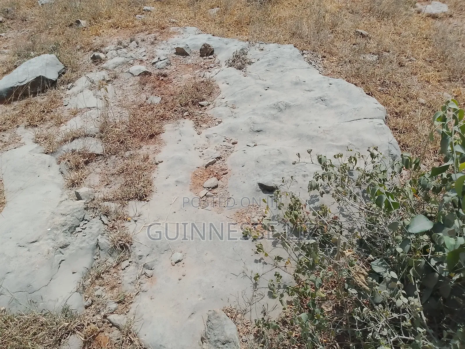 Jaribuni Ballast Land for Sale Kilifi County