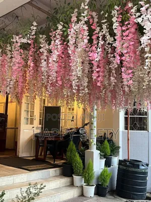 Colourful Aesthetic Winsteria Decor