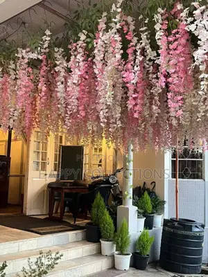 Colourful Aesthetic Winsteria Decor