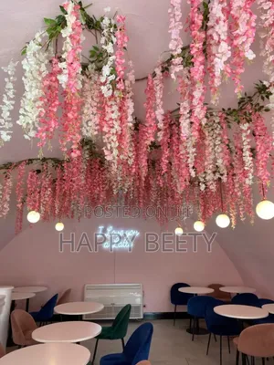 Colourful Aesthetic Winsteria Decor