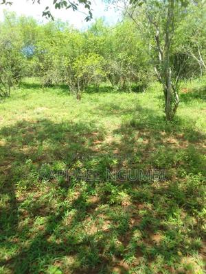 Land for Sale - thumbnail 2