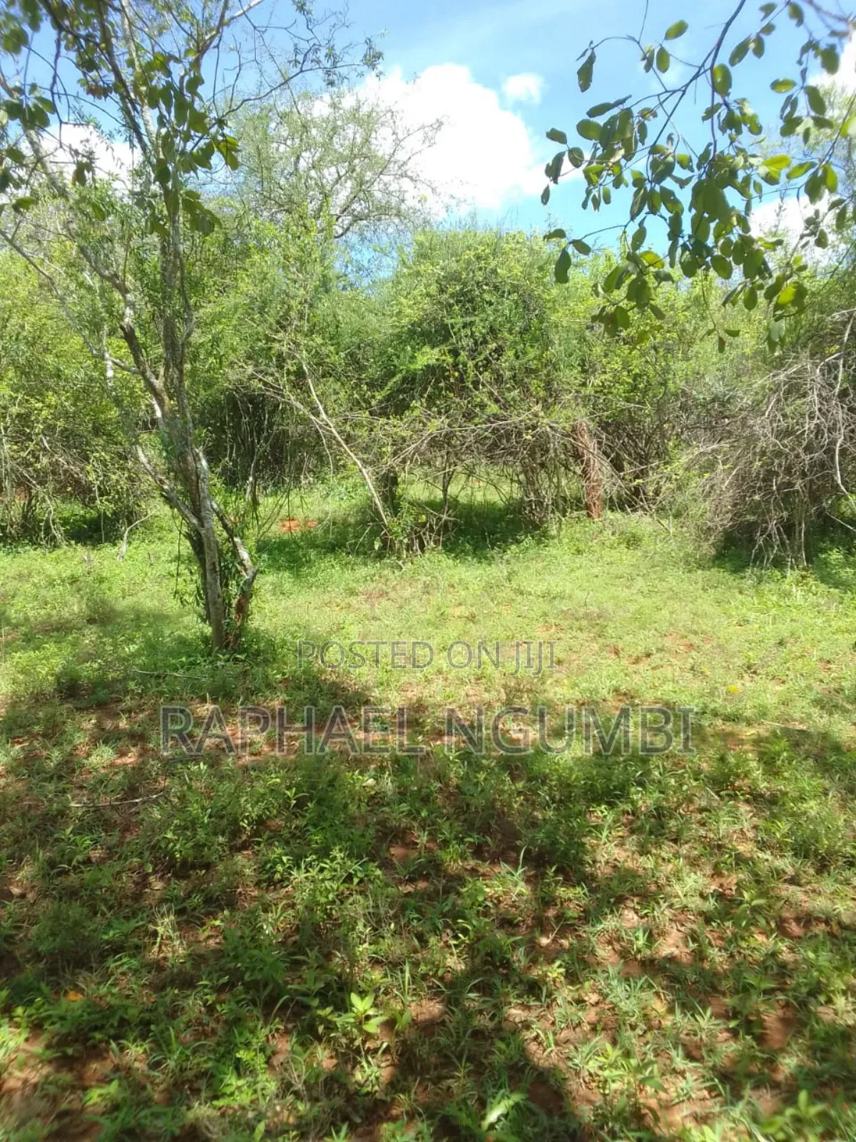 Land for Sale