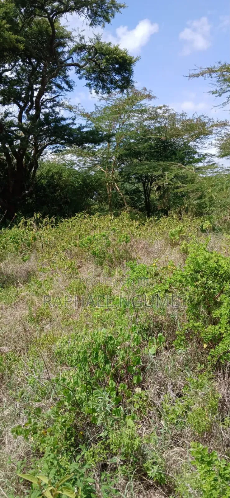 Twenty Two (22) Acres Mwala Kyawango