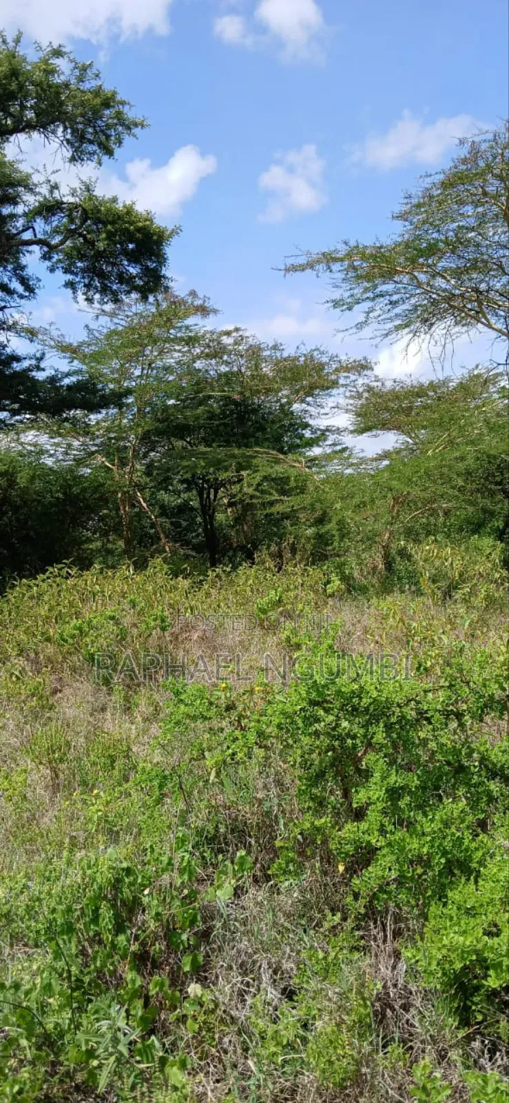 Twenty Two (22) Acres Mwala Kyawango