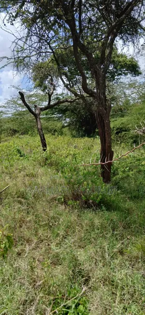 Twenty Two (22) Acres Mwala Kyawango